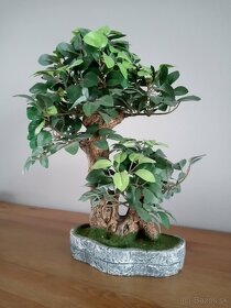 Bonsai umelý/dekorácia 12€ - 3