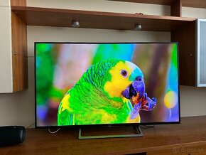 Sony Bravia KD-55XE7005 - 3