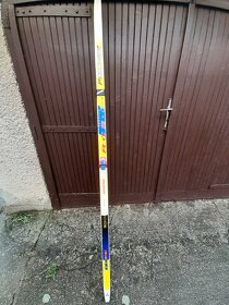 Bežky skate Fischer, SNS, SNS pilot, 190 cm - 3