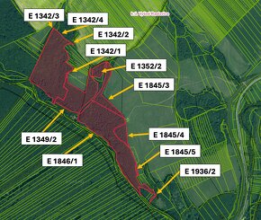 Raslavice – 156.000 m2 LESOV (87,6% podielov na LV) - 3