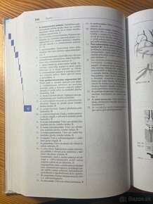 Feneisův obrazový slovník anatomie - 3