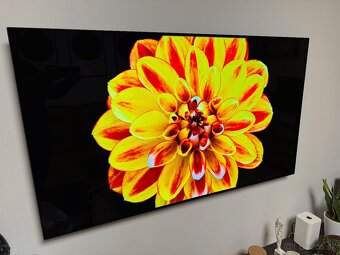 LG OLED televízor 55" 4K 120Hz (OLED55B9PLA) - 3