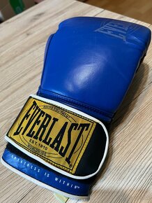 Boxerské rukavice OZ12 Everlast 1910 Classic Training - 3