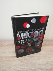 Susannah Cahalan - Mozog v plameňoch - 3