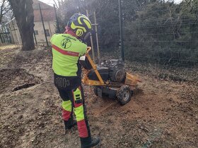 Výrub a ošetrenie stromov, frézovanie pňov - 3