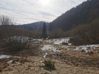 Králiky  pozemok a Potok 1649m2  na samote. - 3