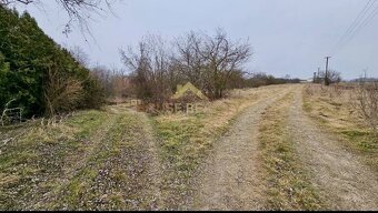 Pozemok tesne pri vode Malý Dunaj, Nová Dedinka, Senec - 3