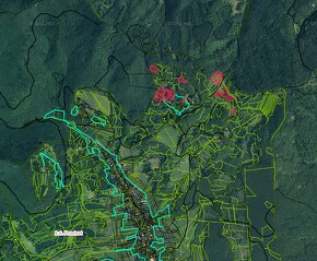 Prochot (ZH) - 6.069 m2 LESNÉ POZEMKY pri chatovej oblasti - 3