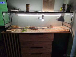 terarium - 3