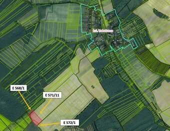 Trebušovce – 25.000 m2 ORNÁ PÔDA podiel 1/1 – Predaj - 3