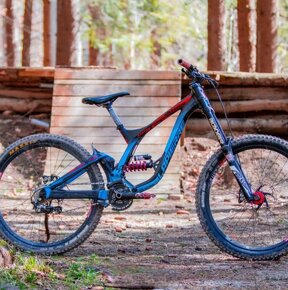 Lapierre DH team - 3