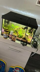 Predam komplet 25l akvarium s vybavenim aj s rybami - 3