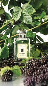 Jo Malone dupes - 3