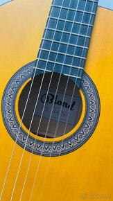 Gitara - 3