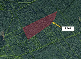 Ihrište - 11.394 m2 LESNÝCH POZEMKOV - Na predaj - 3