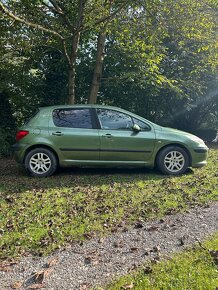 Peugeot 307; 1,4 benzín - 3