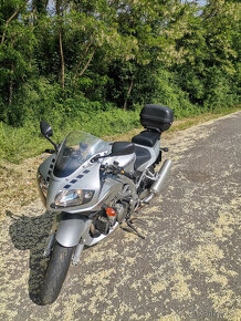 Suzuki SV 1000S rv. 2004 - 3