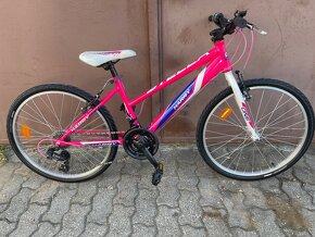 Harry stela 24” dievčensky bike - 3