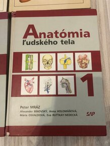 Anatómia ľudského tela - 3