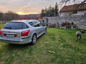 Peugeot 407 Sw 2.0 Hdi - 3