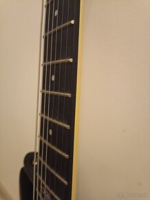 7-strunová gitara Schecter SGR C-7 - 3