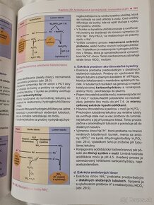 Úvod do všeobecnej a klinicky aplikovanej biochémie - 3