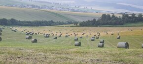 Kvalitne tohtoročné balikované seno - 3