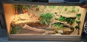 Terarium 120x63x40cm - agama, jašterica - 3