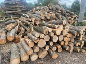 Palivové drevo - metrovica - 3