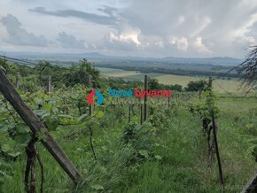 Predaj, vinica, viničný dom - Belá(N070-14-FRAD) - 3