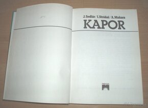 Kapor - 3