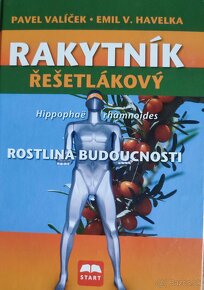 Rakytnik resetliakovy - 3