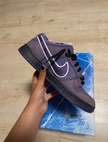 Nike Dunk SB Purple Lobster - 3