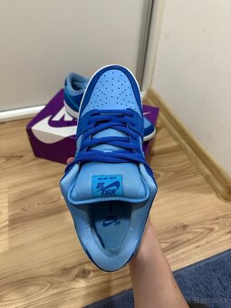 Nike SB dunks low blueraspberry - 3