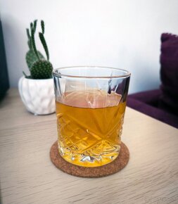 Kombucha čajová huba - SCOBY - 3