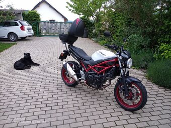 SUZUKI SV 650 - 3