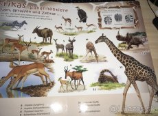 Mein Riesen-Pappebuch - Meine Lieblingstiere im Zoo - 3