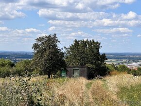 Predaj pozemku 2573 m2 na výstavbu vinohrad. domu, SKALICA - 3