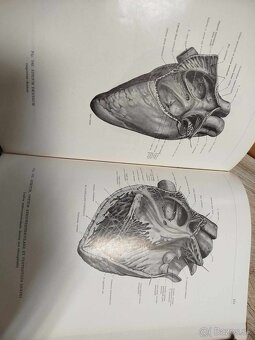 Atlas anatómie človeka I, II, III diel--1975-Kiss Ferenc, Sz - 3