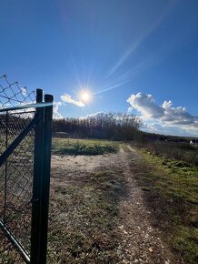 Pozemok Párovské Háje, 500 m2, záhrada - 3