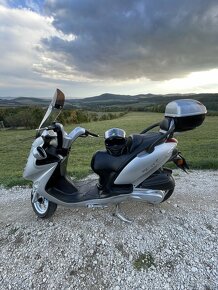 Kymco Grand Dink 250 - 3