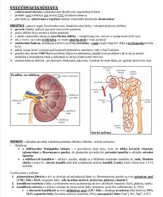 Poznámky z biológie - Biológia ČLOVEKA - 3