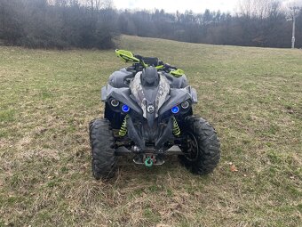 can am renegade 1000 - 3