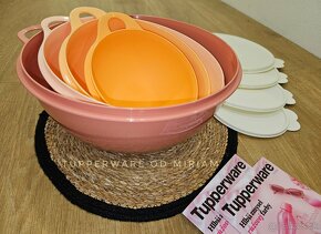 Miska kyska Kuchtik Tupperware 4-set - 3