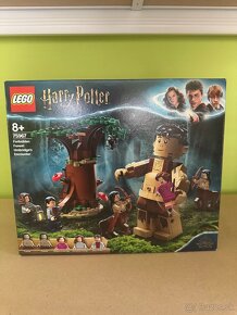 LEGO Harry Potter 76400 75967 76387 - 3