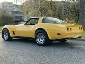 Corvette Stingray (C3) 1981 - 3