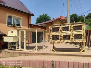 Kralikarna,zajačnik - 3