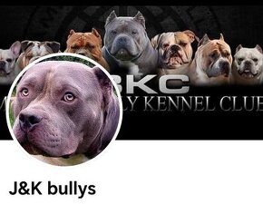 J&K bullys "ponúkame na predaj American bully XL - 3