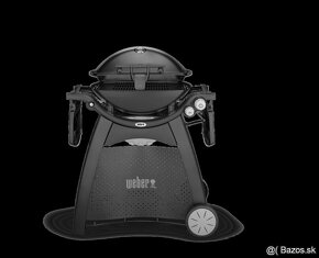 WEBER - 3