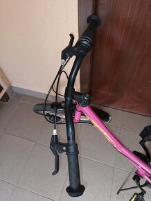 Detsky bicykel 20 - 3